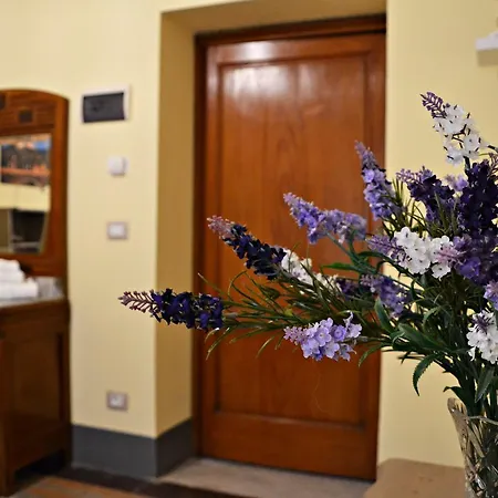 Tuscany Experience Foiano Della Chiana